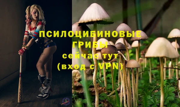 экстази Белокуриха