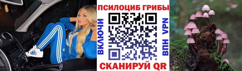 Галлюциногенные грибы GOLDEN TEACHER  Дюртюли 