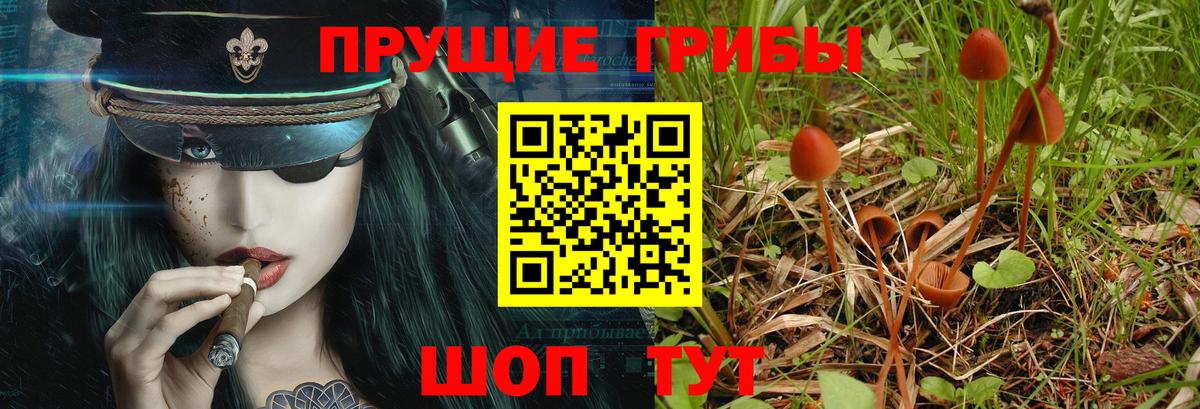 Дюртюли  Псилоцибиновые грибы мухоморы  Вход с VPN 