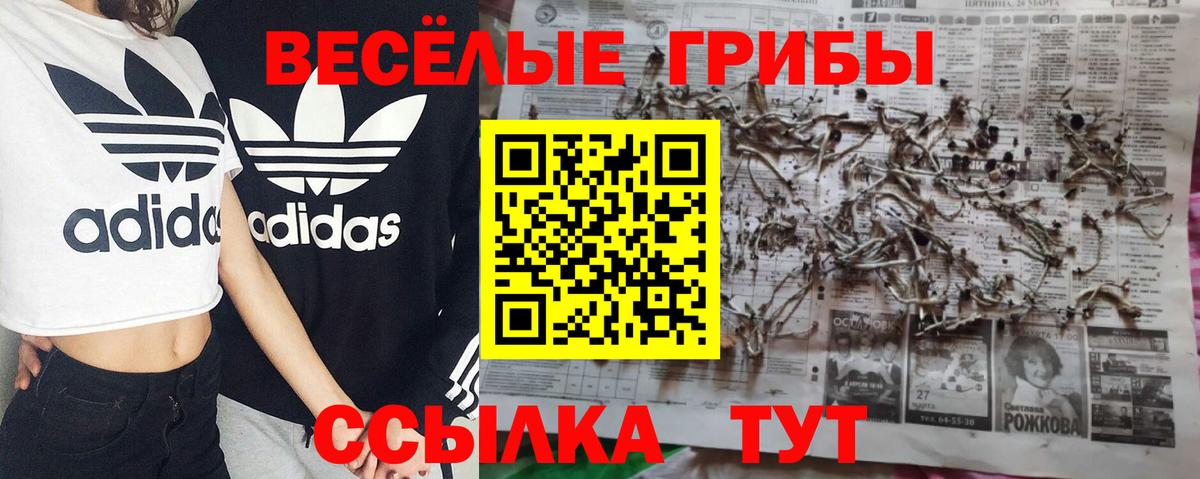 Псилоцибиновые грибы MAGIC MUSHROOMS Дюртюли