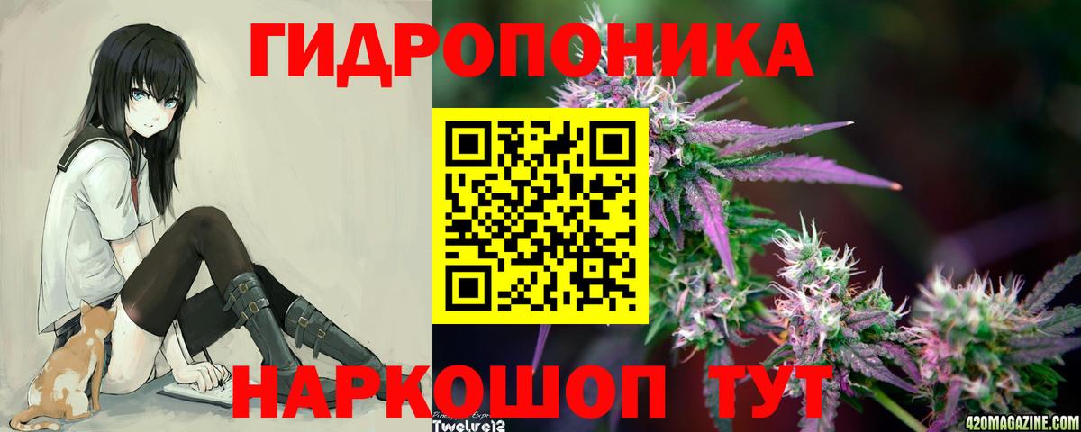 Дюртюли  Канабис OG Kush  МАРИХУАНА индика  Каннабис VHQ  Вход с VPN 